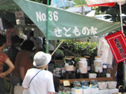 Ningyocho Grass Market